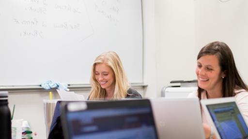 Two students studying online