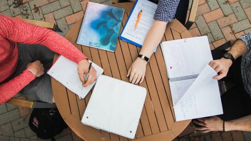 students studying outside